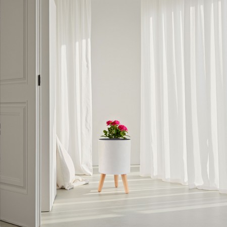 Vaso Autoinnaffiante Esterno Interno Carlotta - A Bianco Opaco e Legno Massello finitura Rovere 1.5 litri, d19xh33 cm