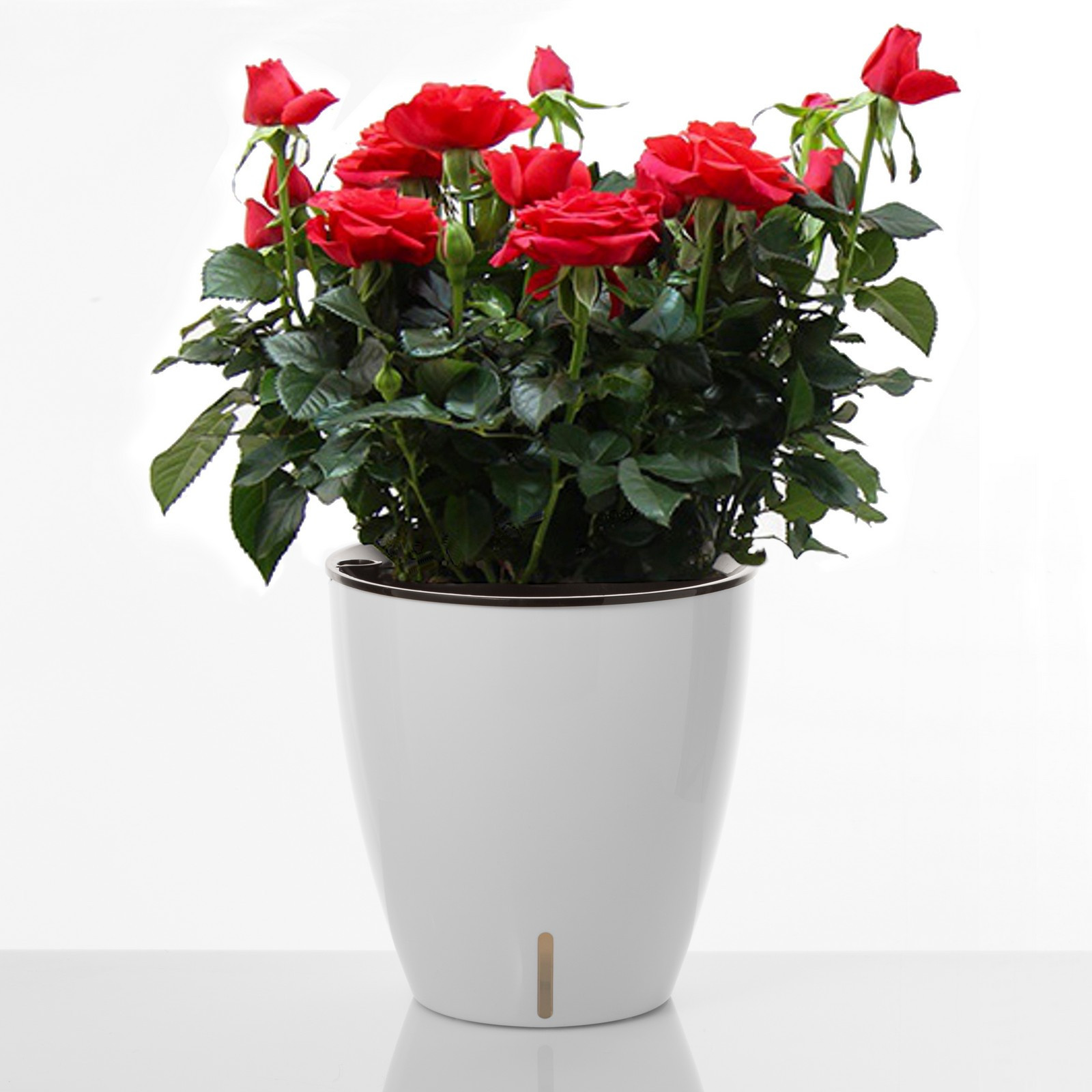 Vaso Autoinnaffiante per Esterno e Interno Viola Round Bianco Lucido, d35xh36 cm