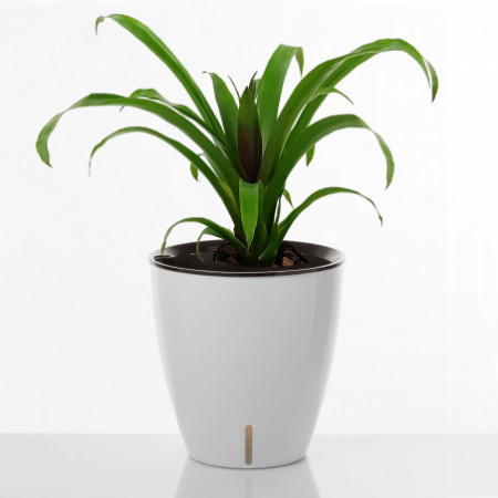 Vaso Autoinnaffiante per Esterno e Interno Viola Round Bianco Lucido, d35xh36 cm
