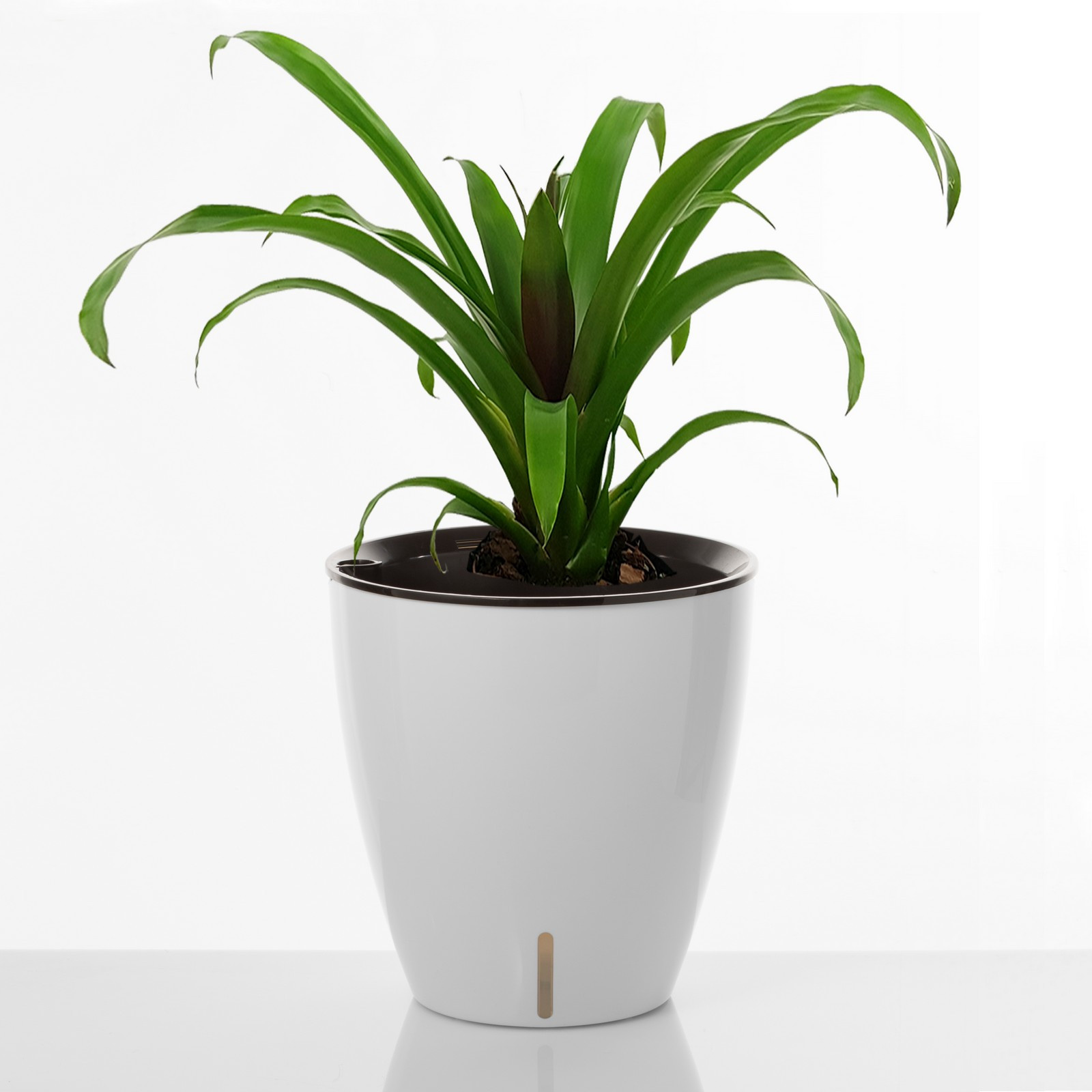 Vaso Autoinnaffiante per Esterno e Interno Viola Round Bianco Lucido, d35xh36 cm