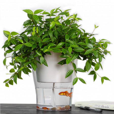 Vaso Autoinnaffiante per Esterno e Interno Fiordaliso Large Bianco Opaco e Trasparente, d17.3xh21.2 cm