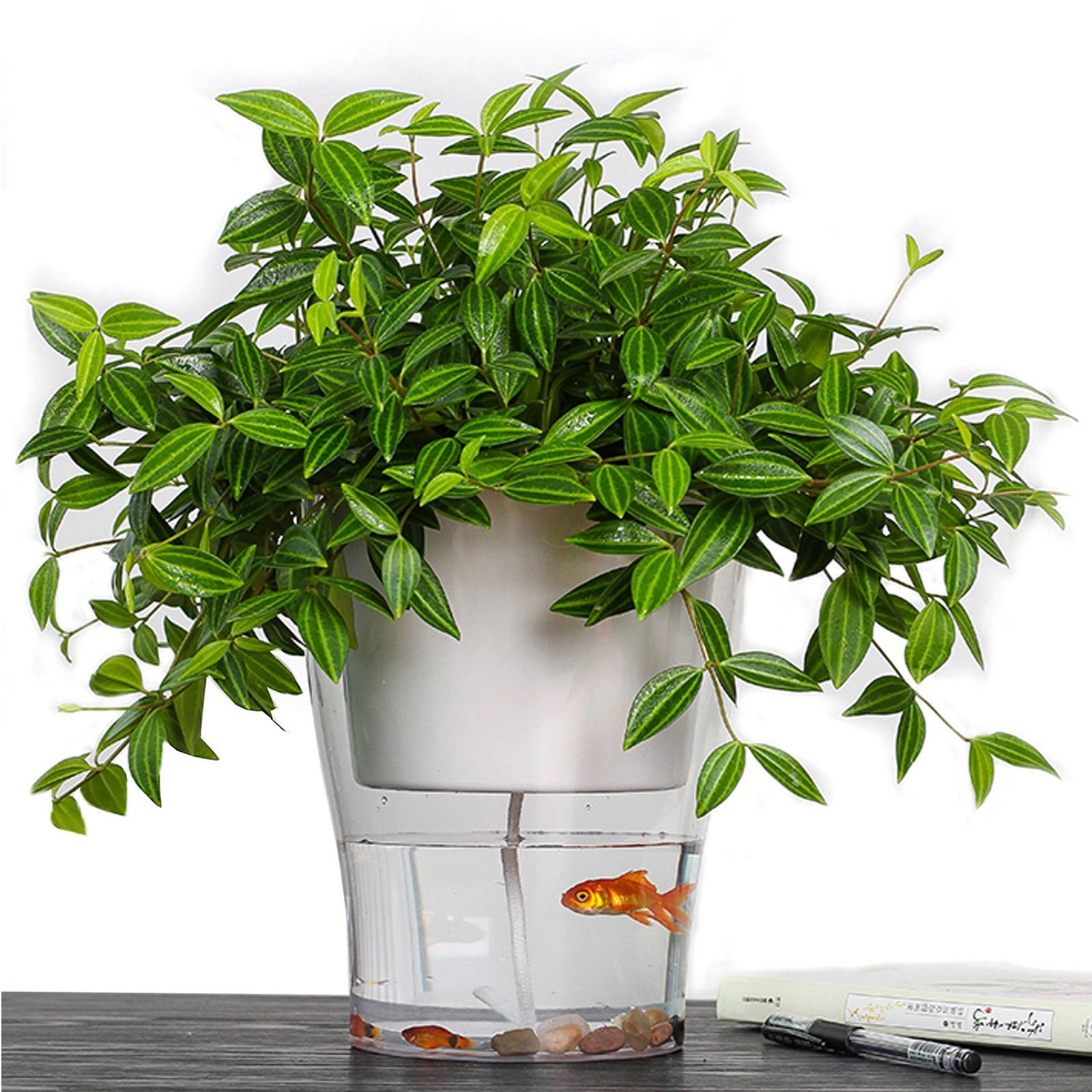 Vaso Autoinnaffiante per Esterno e Interno Fiordaliso Medium di Bianco Opaco e Trasparente, d17.3xh17 cm
