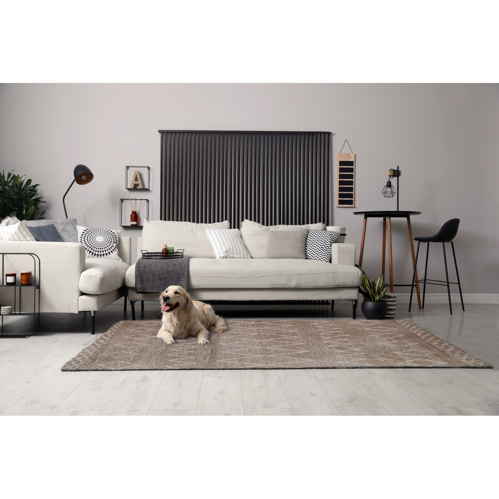 Tappeto SOFT 230 BROWN cm 160 x 230 PET FRIENDLY riduce gli allergeni